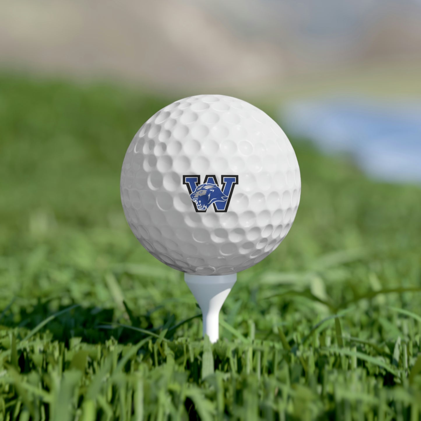 Custom Logo Golf Balls: Westlake High School , 6pcs